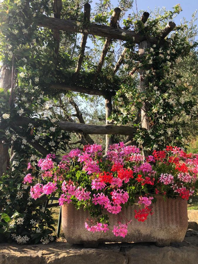 Agriturismo La Casella Castelfranco di Sopra Dış mekan fotoğraf