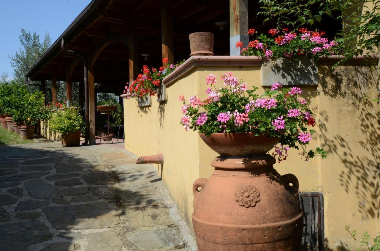 Agriturismo La Casella Castelfranco di Sopra Dış mekan fotoğraf